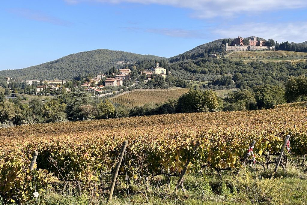 Metranino 15 - Gallery