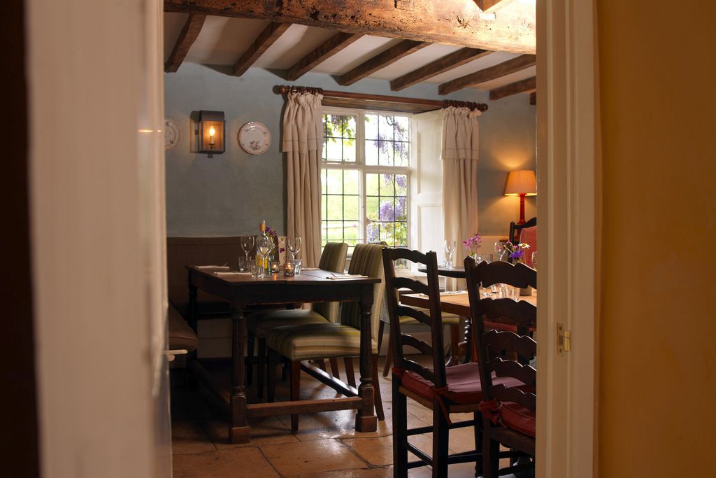 The Swan 3 - Gallery