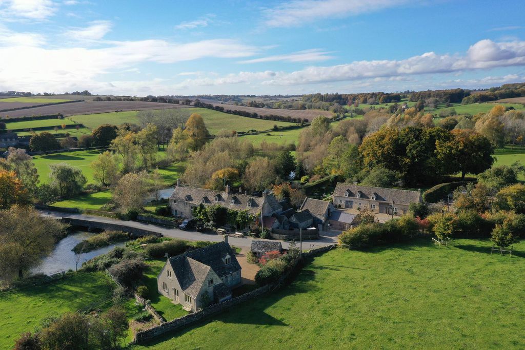 The Swan 6 - Gallery