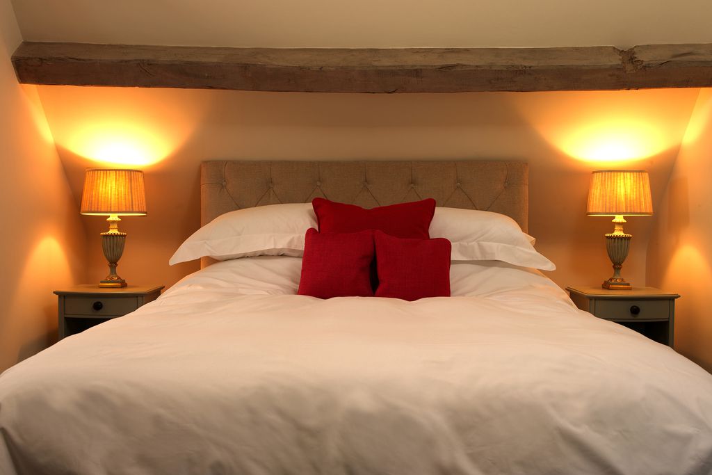 The Swan 10 - Gallery