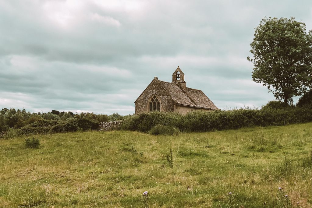 The Swan 19 - Gallery