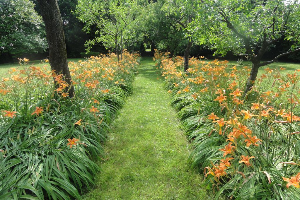 Palazzo Lantieri 3 - Gallery