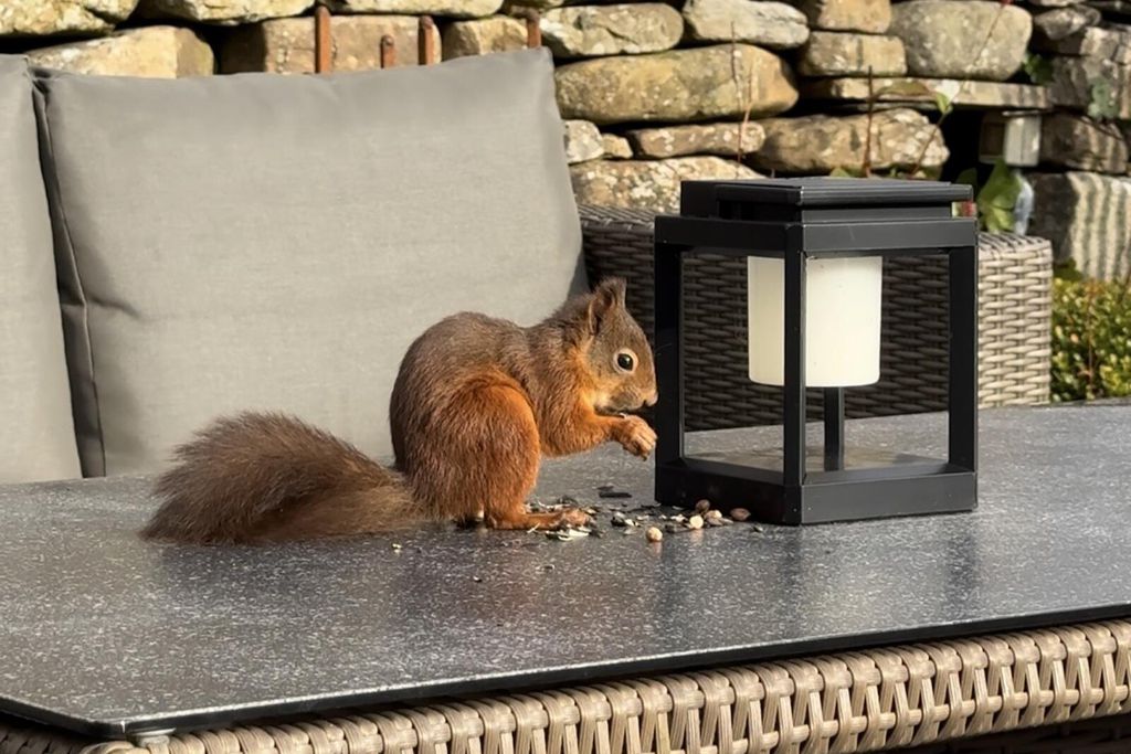 The Farmhouse at A Corner of Eden 8 - Gallery