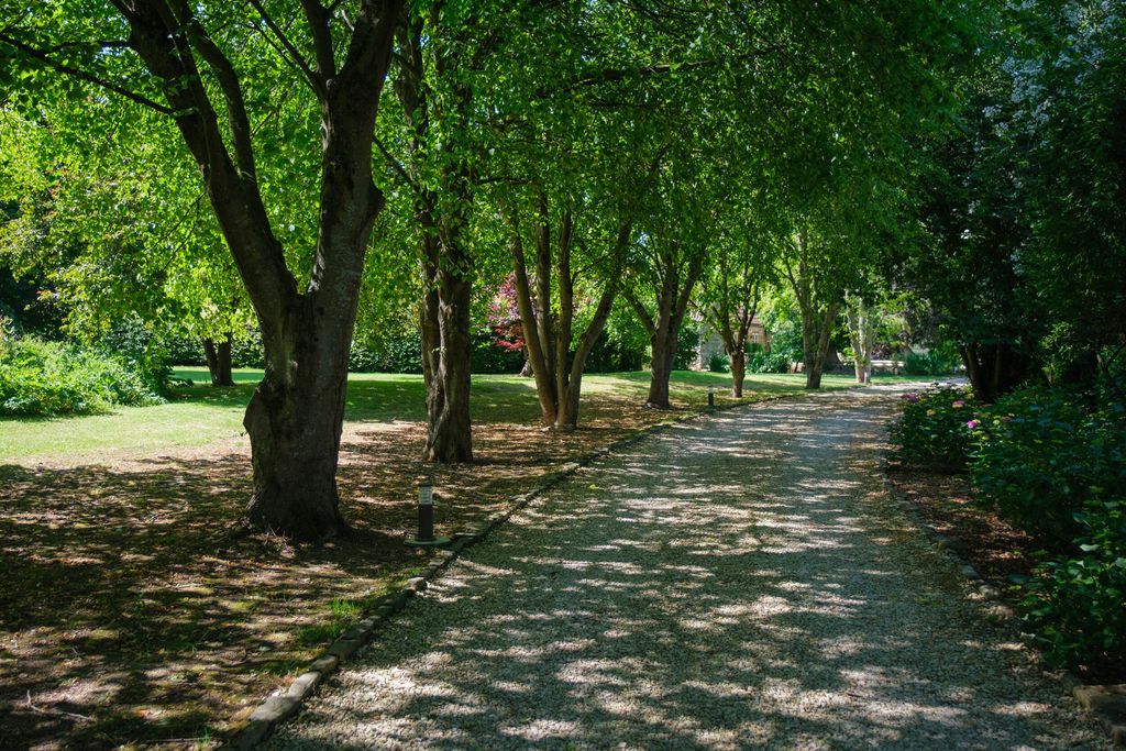 Pond Cottage 20 - Gallery