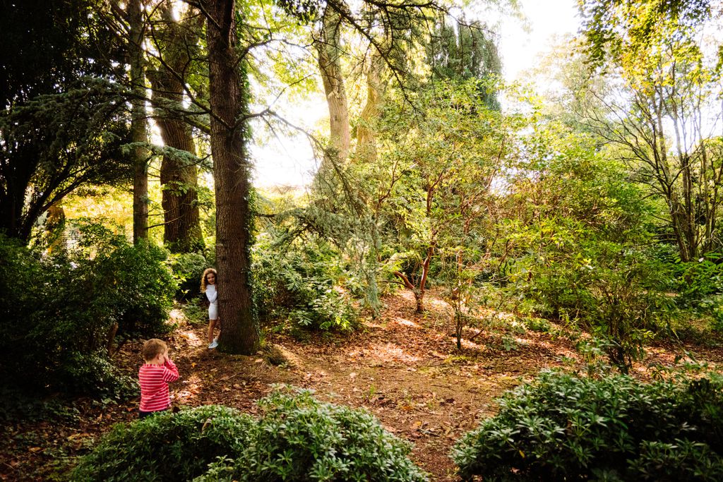Damson Gate Lodge at Mount Congreve Gardens 18 - Gallery