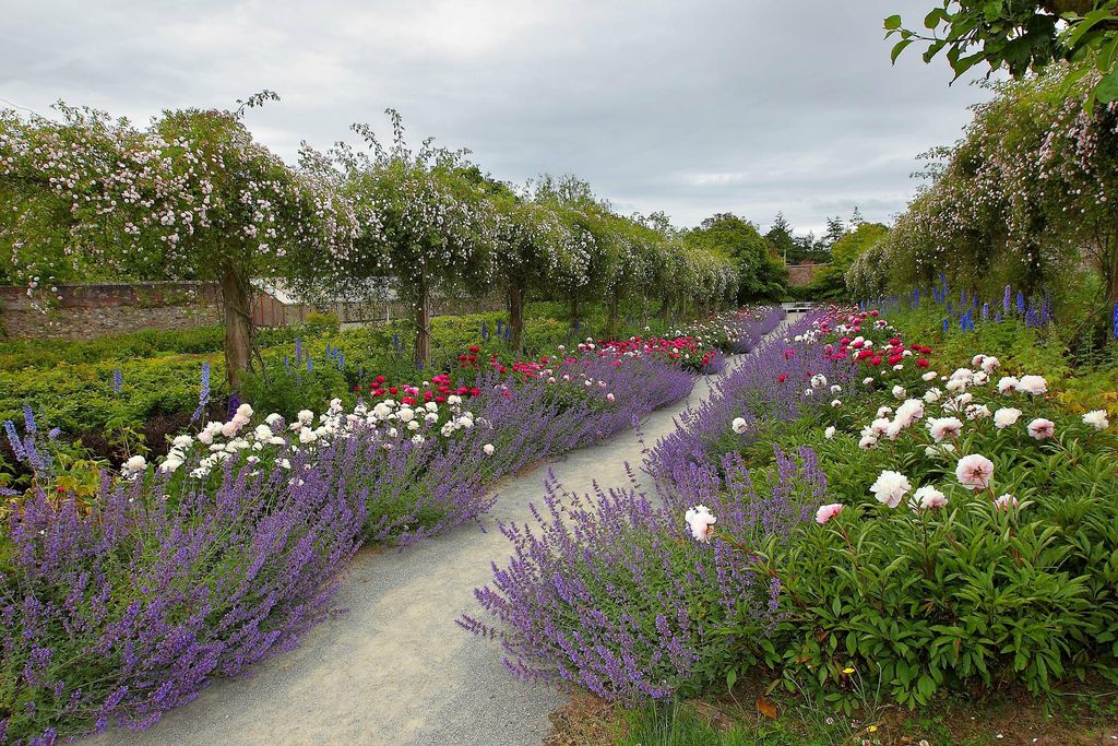 Whitfield Lodge at Mount Congreve Gardens 5 - Gallery