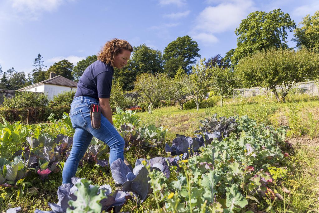 Whitfield Lodge at Mount Congreve Gardens 16 - Gallery
