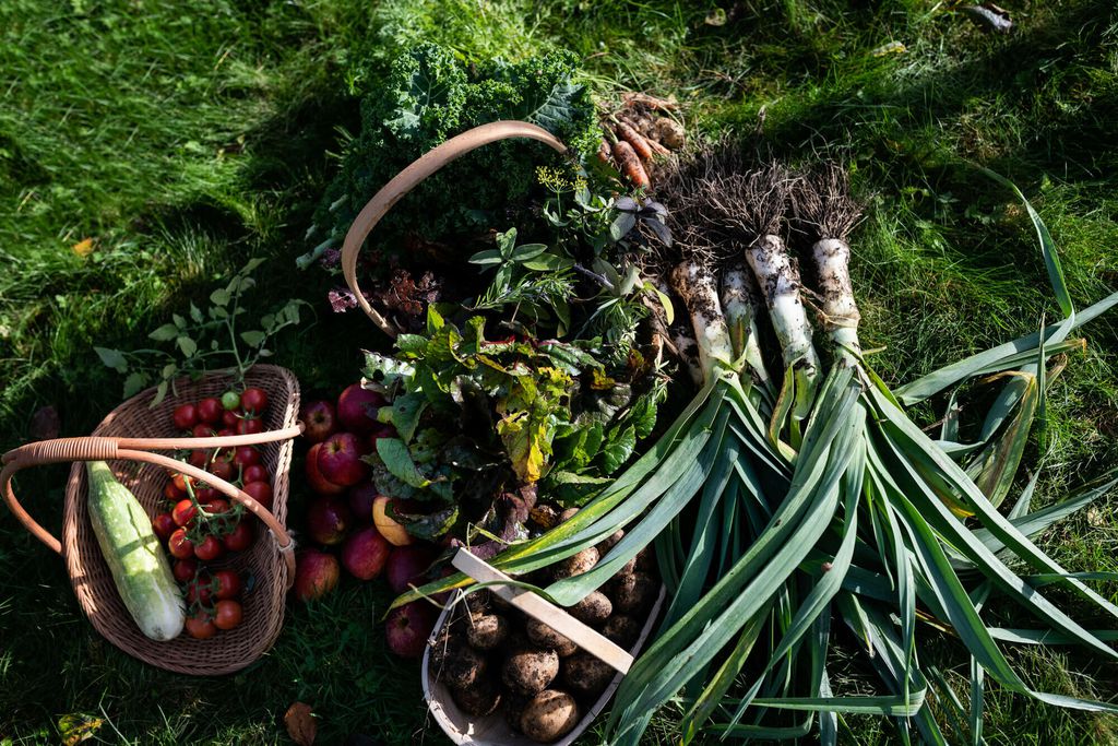 Whitfield Lodge at Mount Congreve Gardens 17 - Gallery