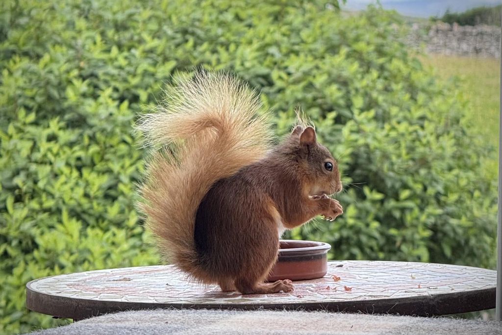 Angel Barn 9 - Gallery