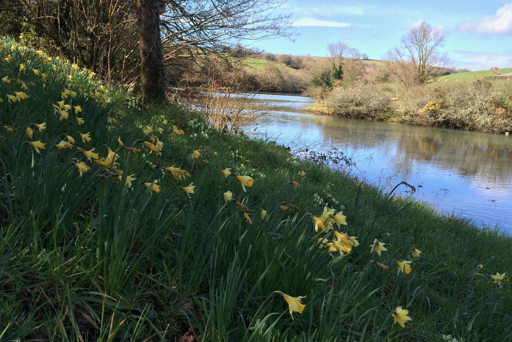 Penpoll 14 - Gallery