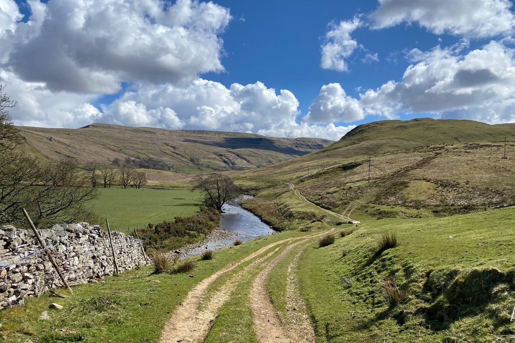 The Farmhouse at A Corner of Eden 15 - Gallery