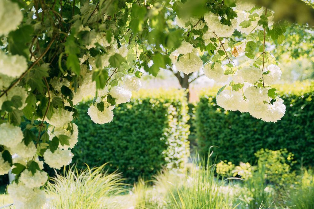 La Maison de Josephine 15 - Gallery