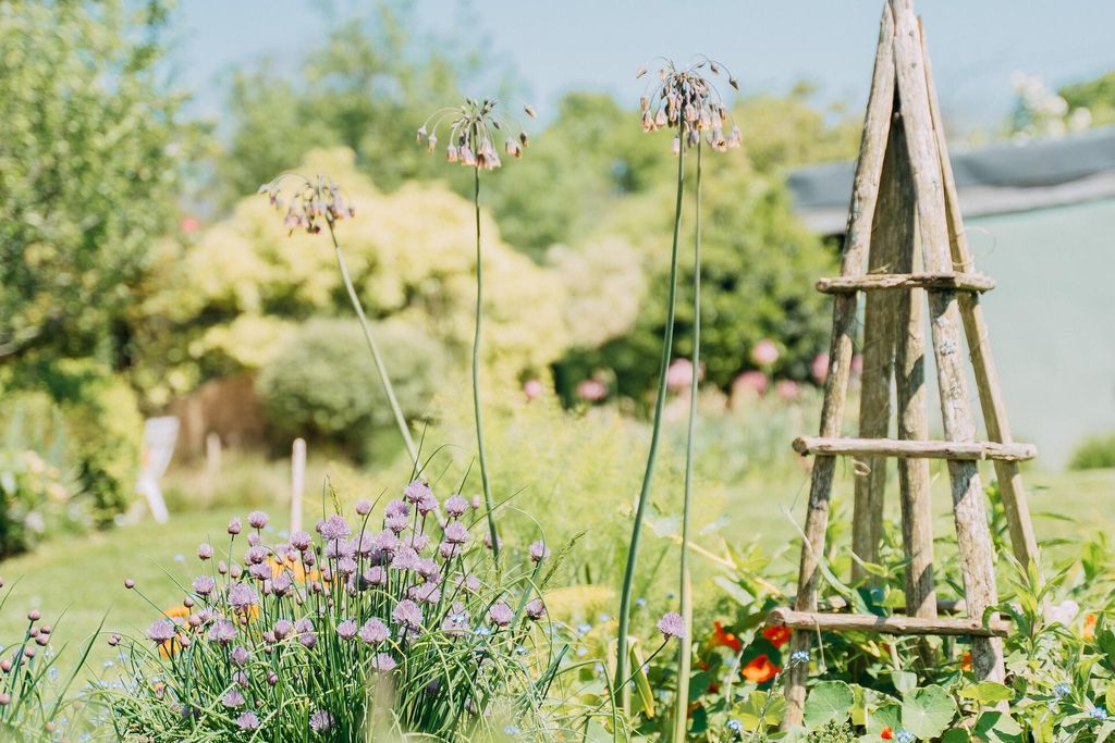 La Maison de Josephine 17 - Gallery