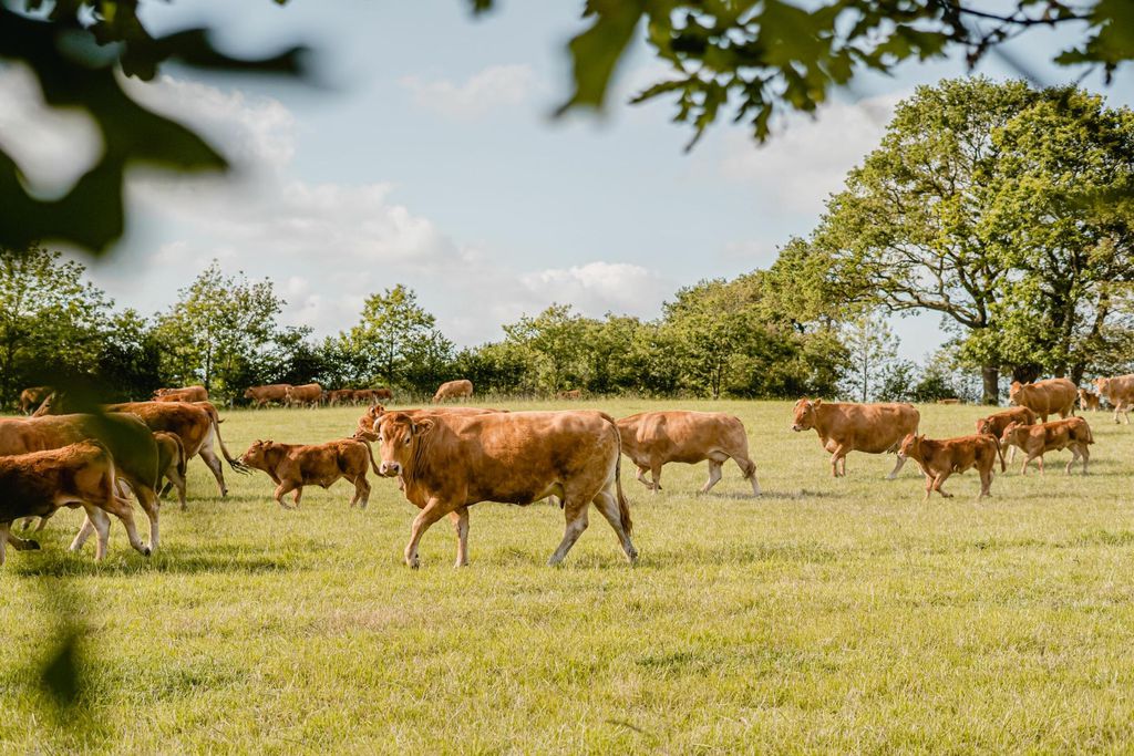 La Maison de Josephine 16 - Gallery