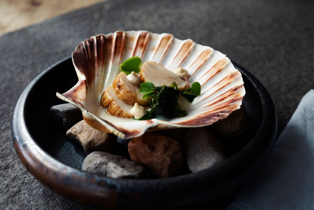 The Black Bull 12 - Gallery