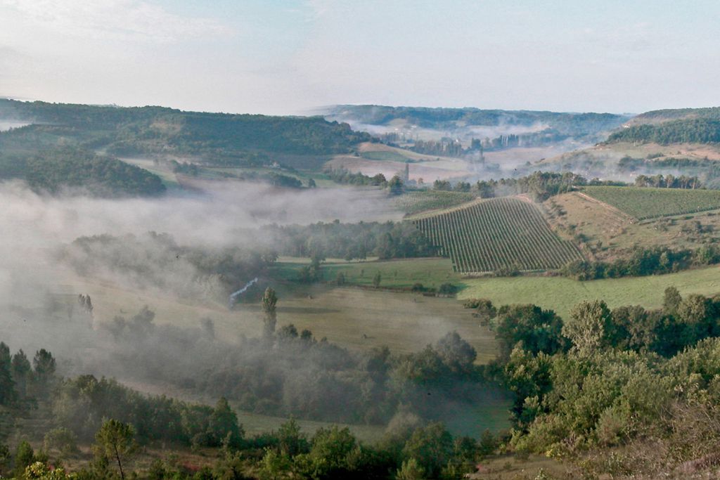 Les Champs Beaux 19 - Gallery