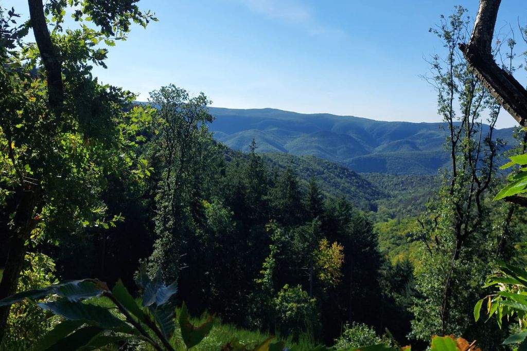 Le Rouzet 19 - Gallery