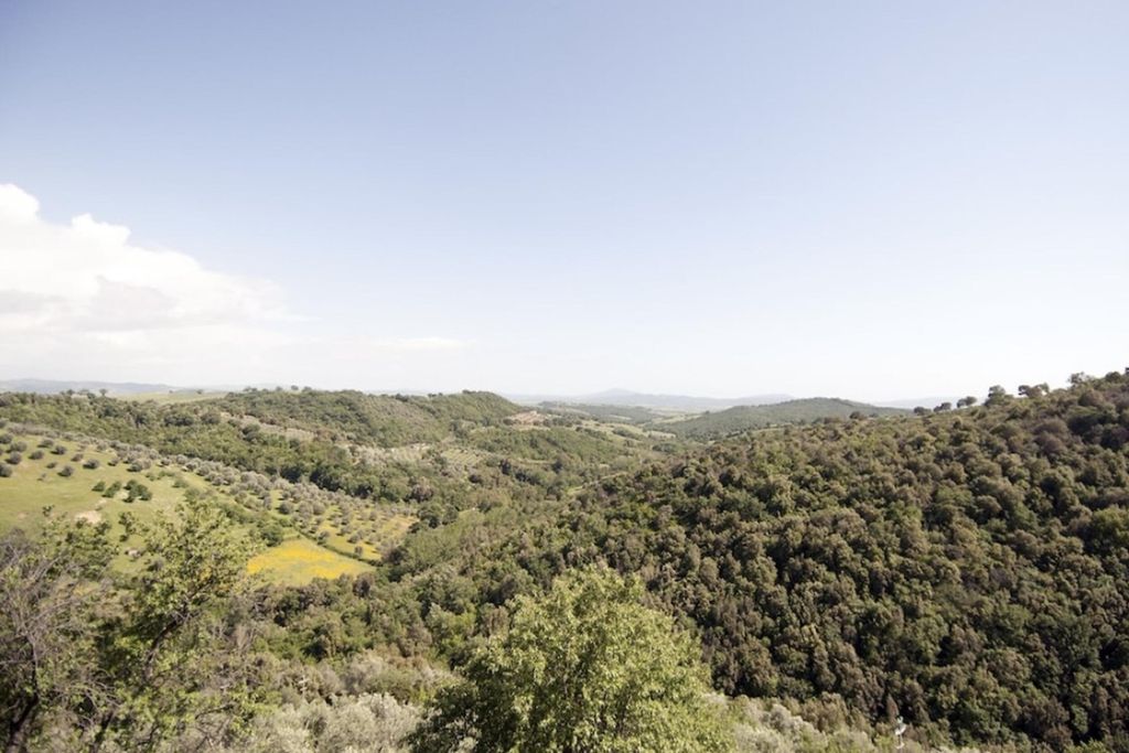 Il Frantoio 12 - Gallery