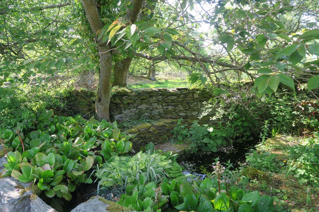 Henfaes Isaf 11 - Gallery