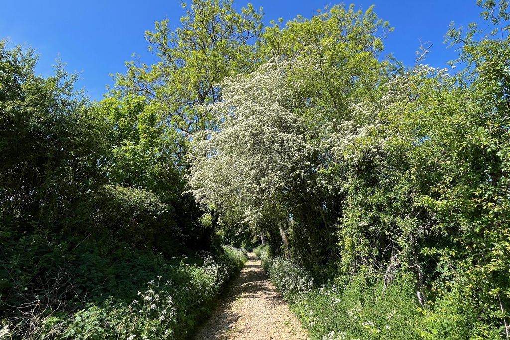 The Other House 16 - Gallery