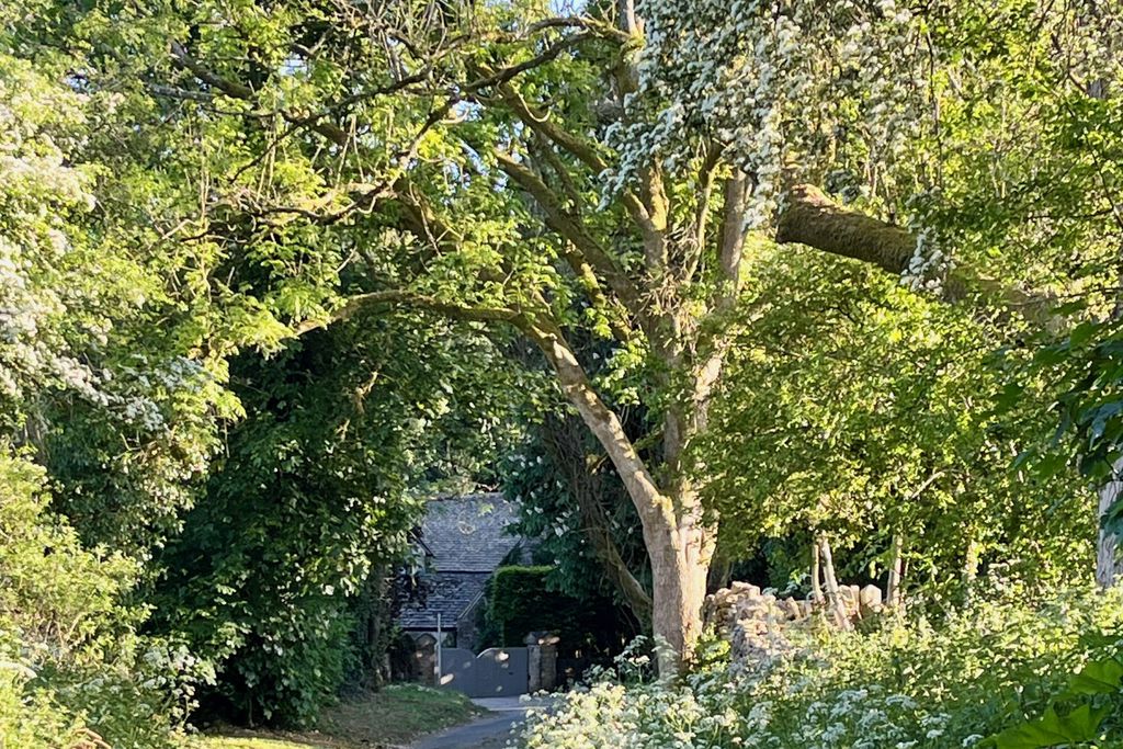 The Other House 17 - Gallery