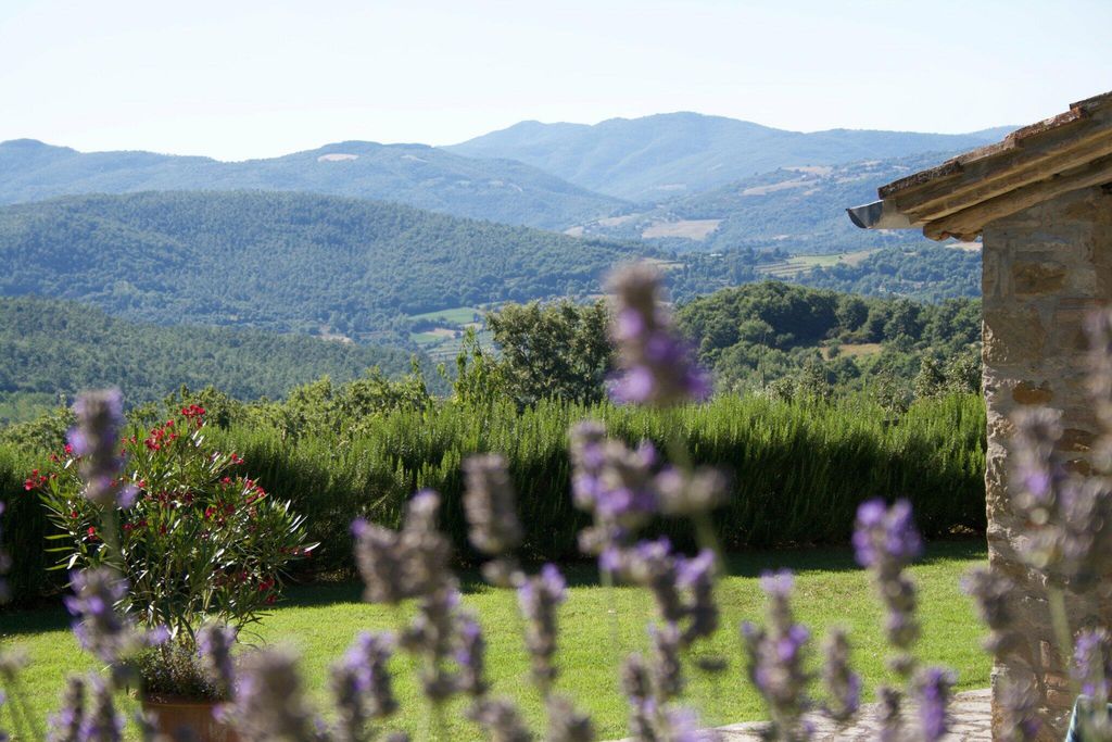 Casa Matira 5 - Gallery