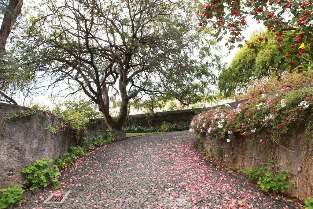 Quinta das Malvas 20 - Gallery