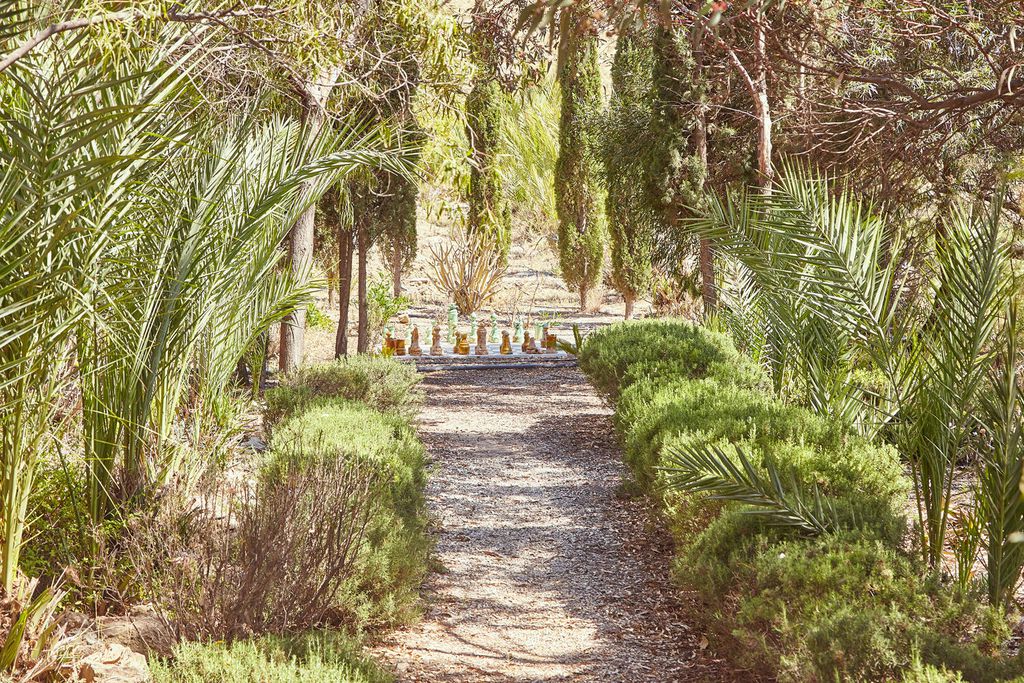 Finca del Alamo 20 - Gallery