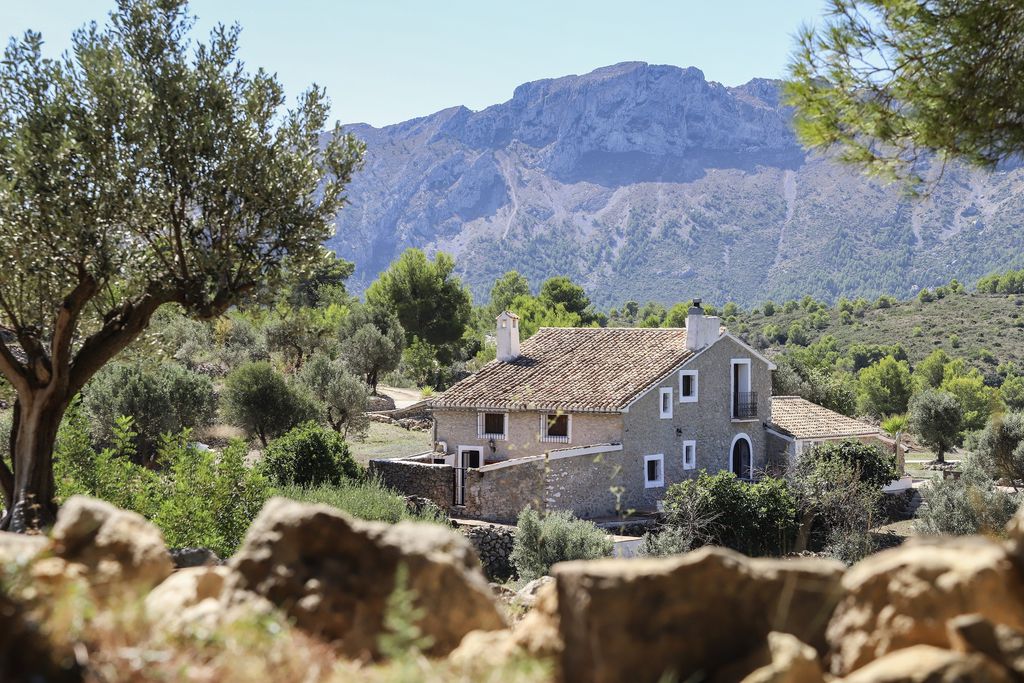 Finca Iris & Casa Grillo 12 - Gallery