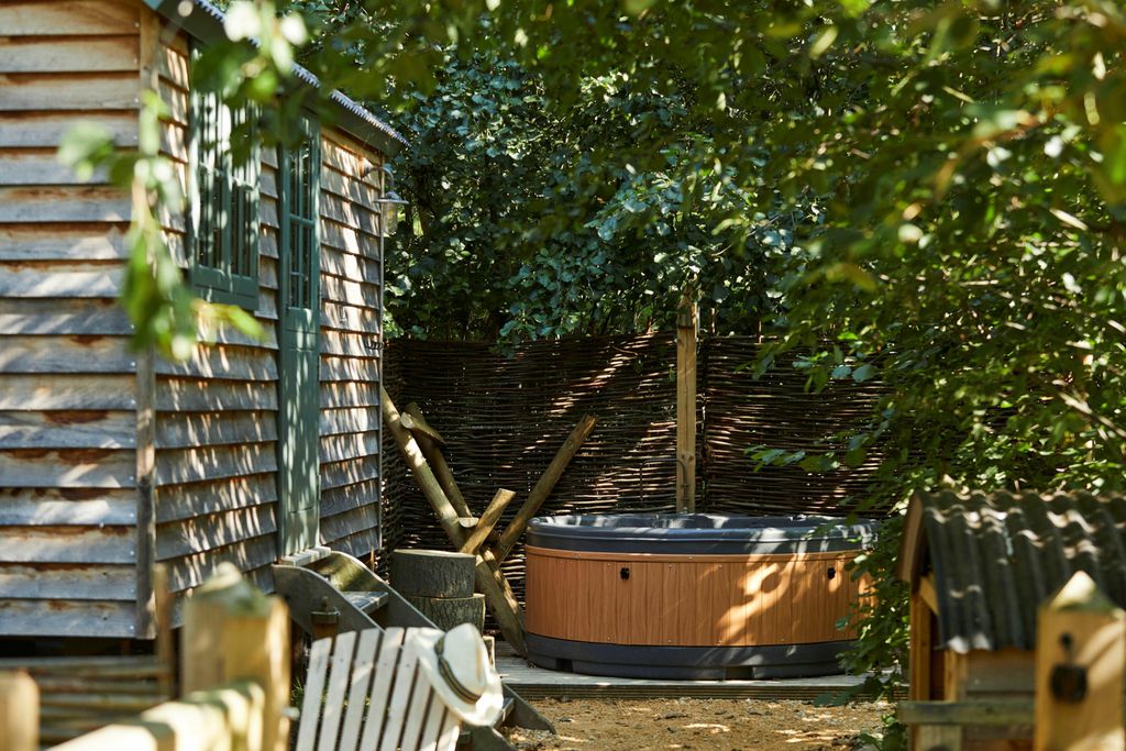 The Fish Hotel 4 - Gallery