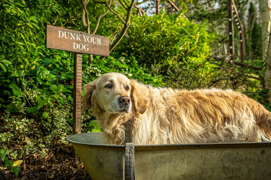 The Fish Hotel 19 - Gallery