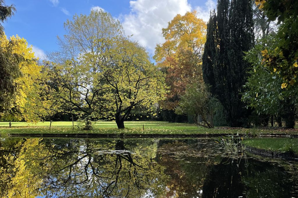 The Green 19 - Gallery