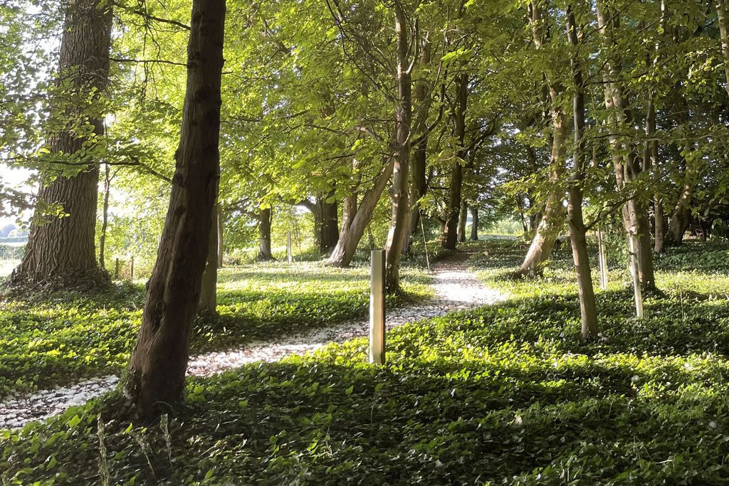 The Green 20 - Gallery