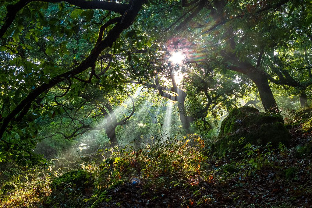 Casa Bella Vista Zufre 15 - Gallery