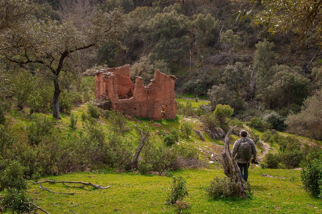 Casa Bella Vista Zufre 17 - Gallery