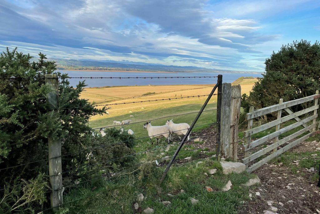 Old Parkhill Cottage at Hyrneside 9 - Gallery