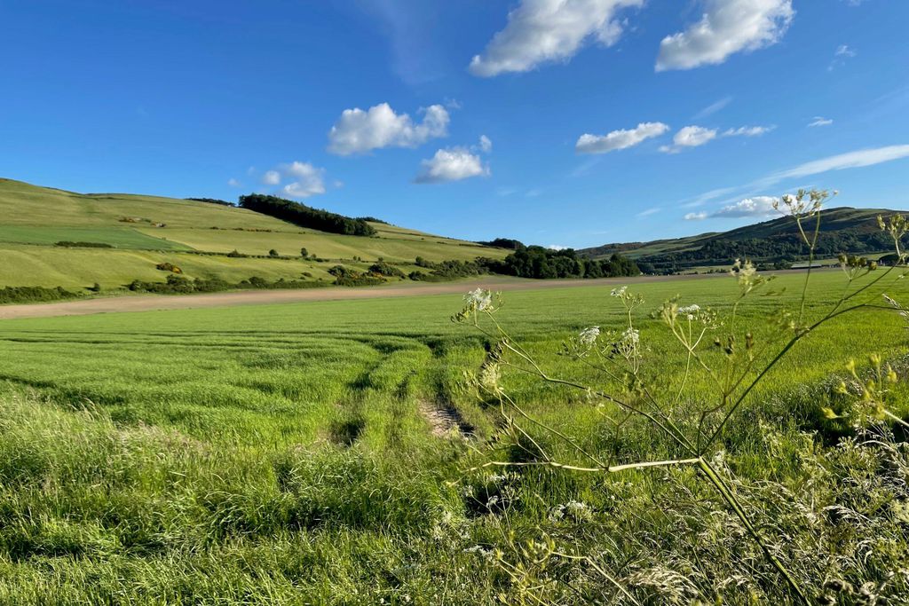 Old Parkhill Cottage at Hyrneside 18 - Gallery