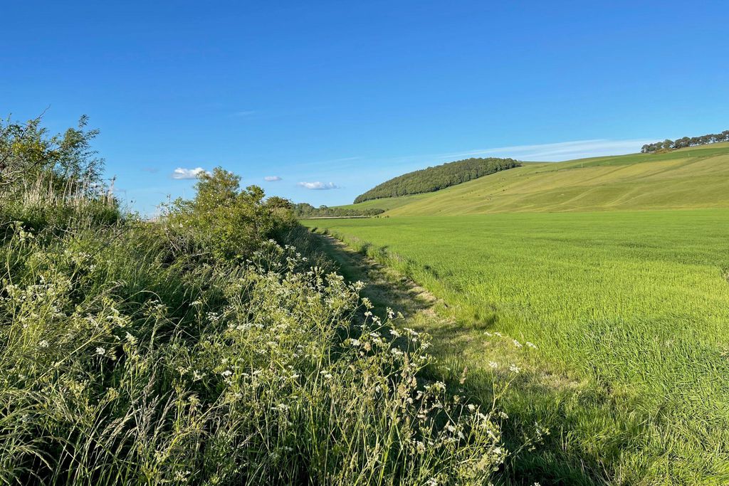 Old Parkhill Cottage at Hyrneside 19 - Gallery
