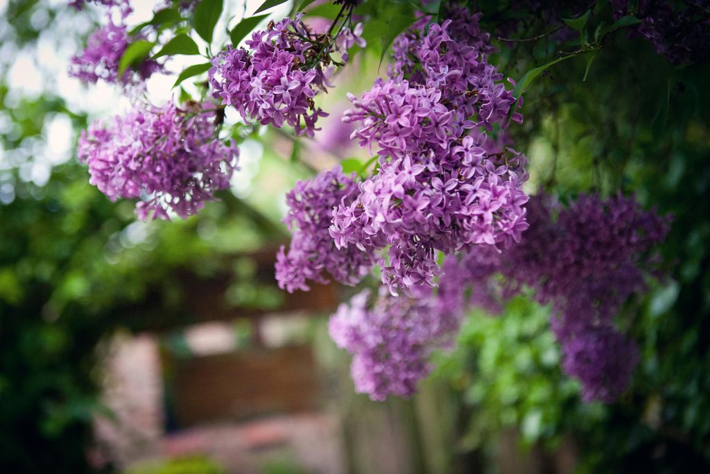 The Hundred House Hotel 15 - Gallery