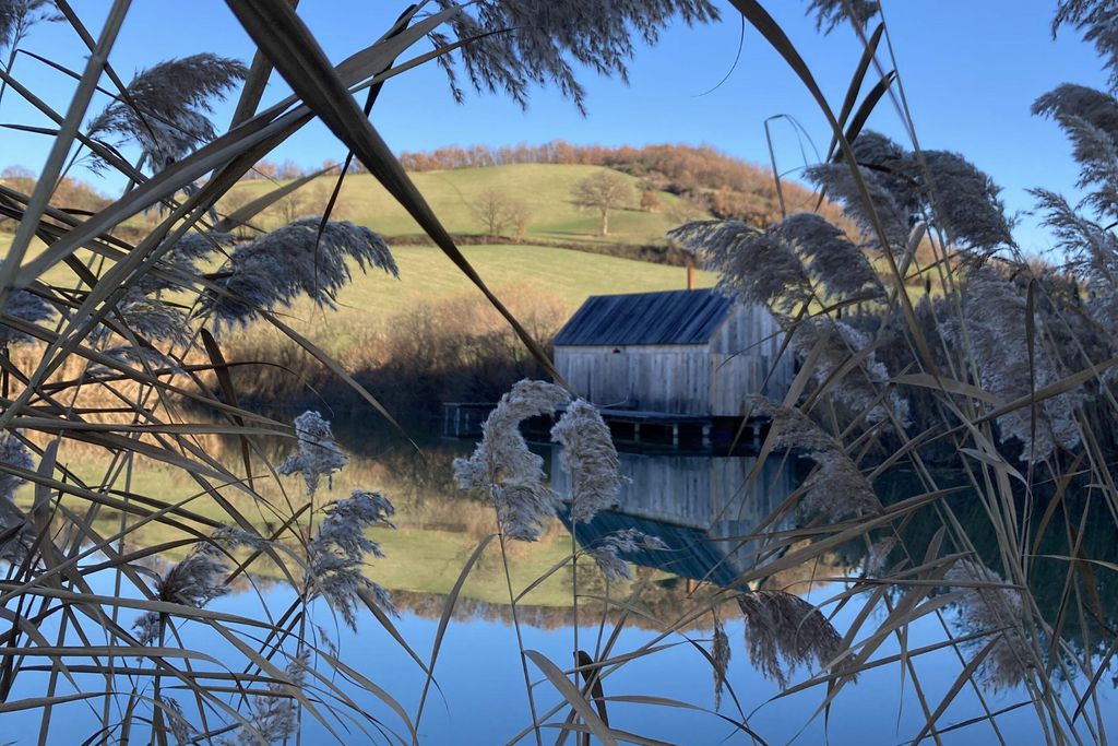 Rosa Cypria 12 - Gallery