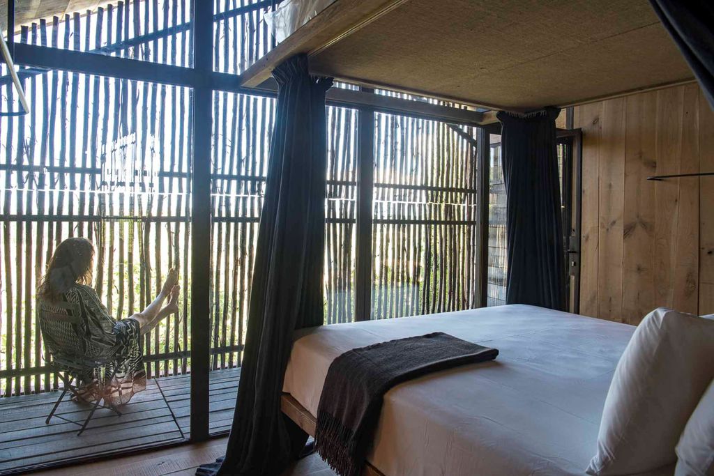 Rosa Cypria 8 - Gallery