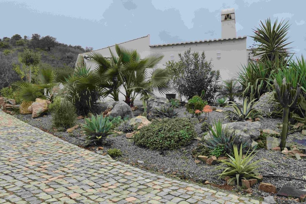 Cova do Coração 19 - Gallery