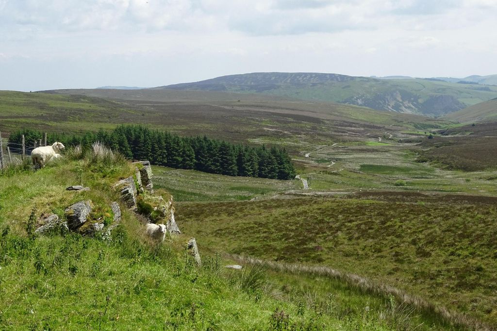 Henfaes Isaf 4 - Gallery