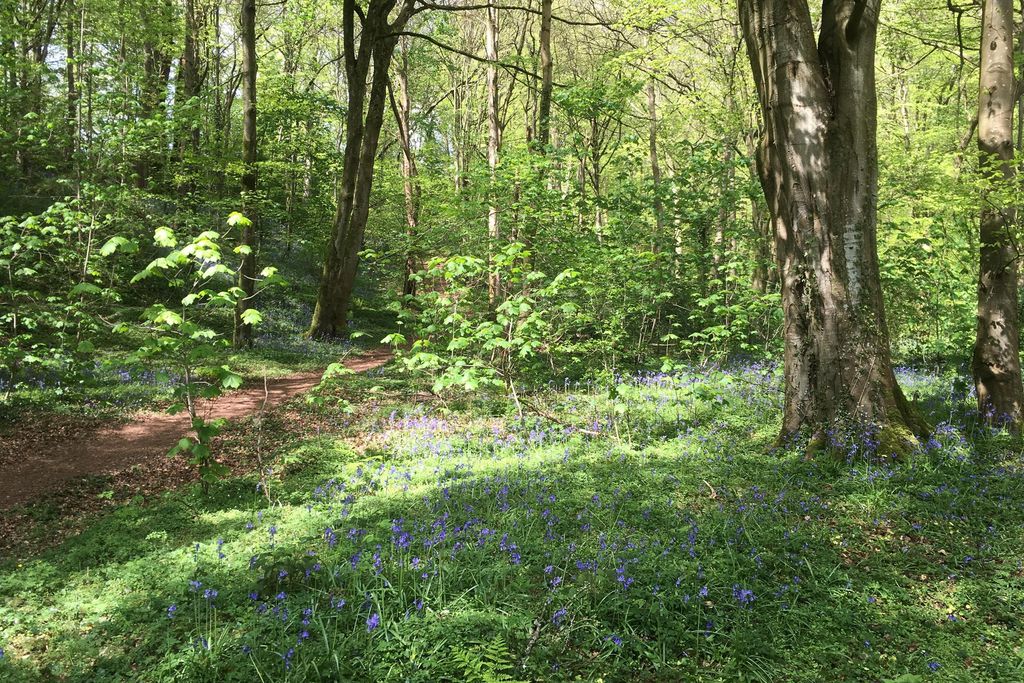 The Granary at Priory Mill 6 - Gallery