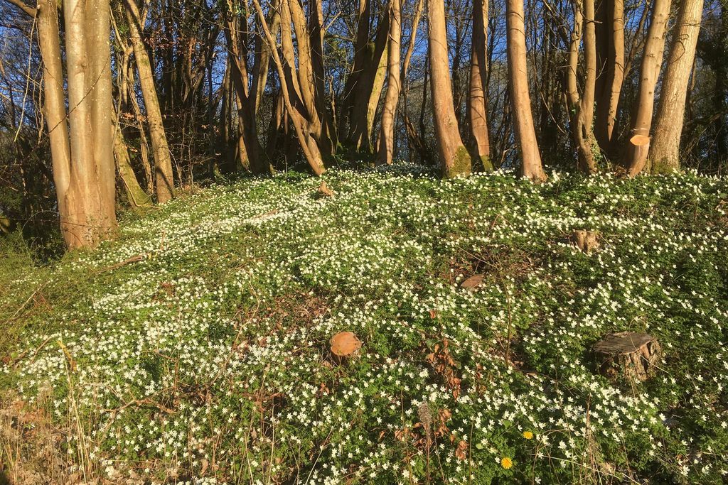 The Granary at Priory Mill 7 - Gallery