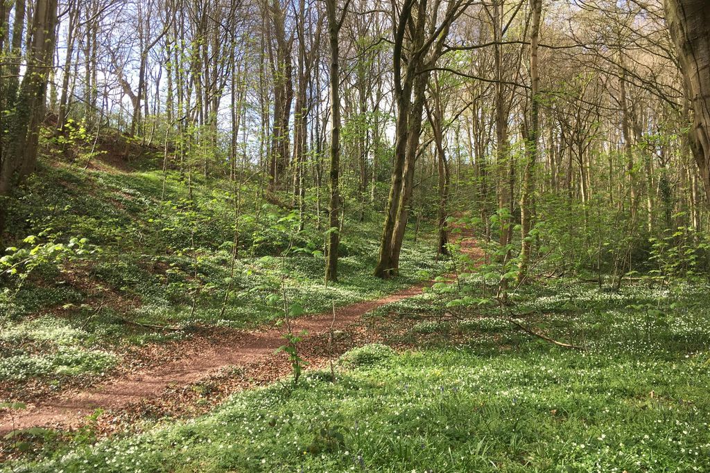 The Granary at Priory Mill 8 - Gallery