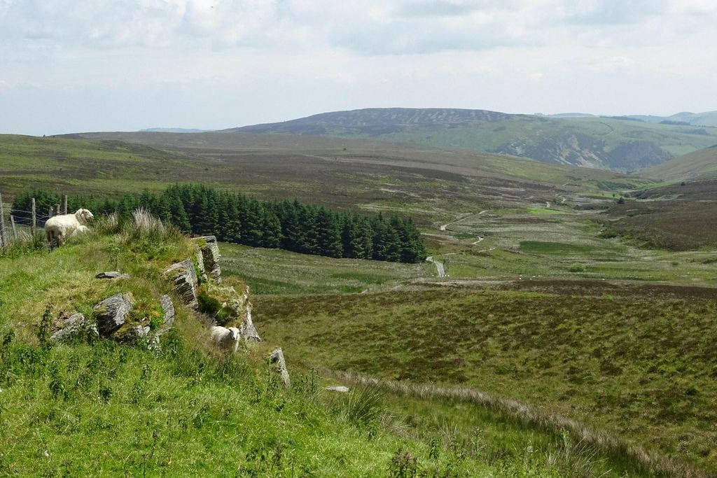 Henfaes Isaf 4 - Gallery