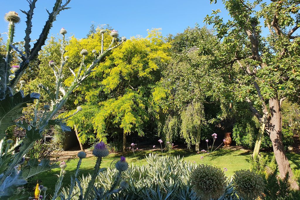 The Lodge 16 - Gallery