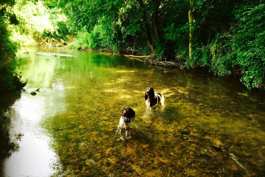 Old Dairy Barn 17 - Gallery
