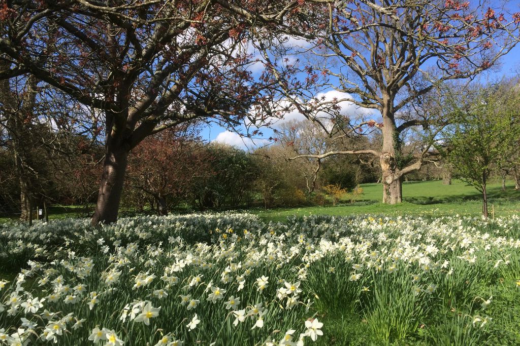 Old Dairy Barn 19 - Gallery